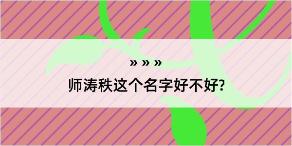 师涛秩这个名字好不好?