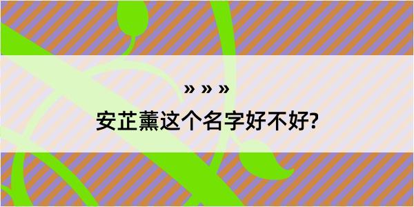 安芷薰这个名字好不好?