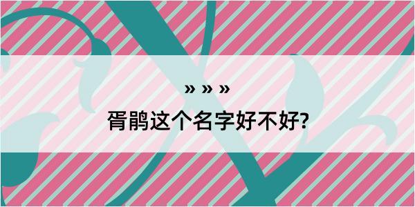 胥鹃这个名字好不好?