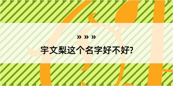 宇文梨这个名字好不好?