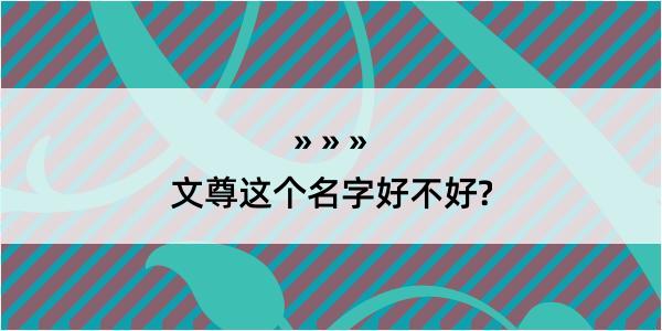 文尊这个名字好不好?