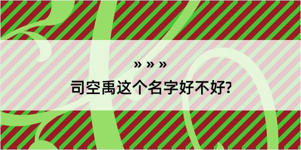 司空禹这个名字好不好?