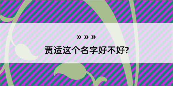 贾适这个名字好不好?