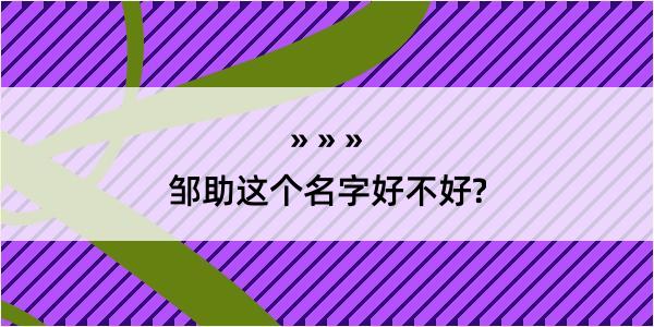 邹助这个名字好不好?