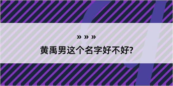 黄禹男这个名字好不好?