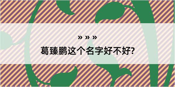 葛臻鹏这个名字好不好?