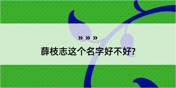 薛枝志这个名字好不好?