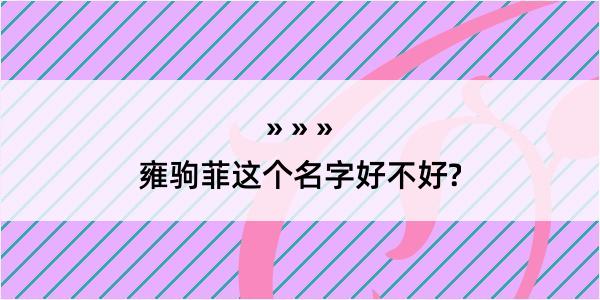 雍驹菲这个名字好不好?