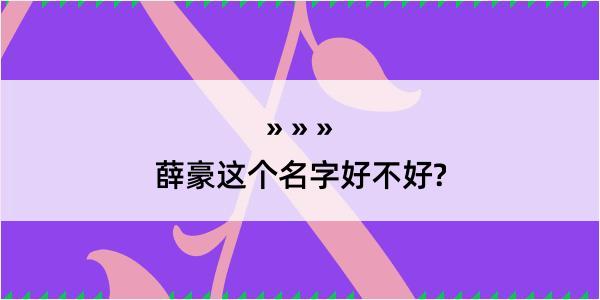 薛豪这个名字好不好?