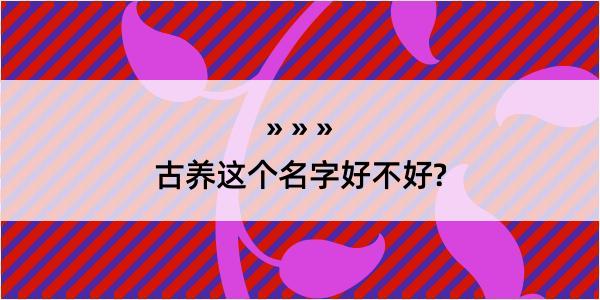 古养这个名字好不好?