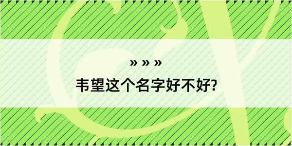 韦望这个名字好不好?