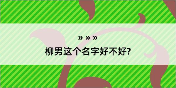 柳男这个名字好不好?