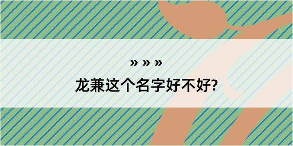 龙兼这个名字好不好?