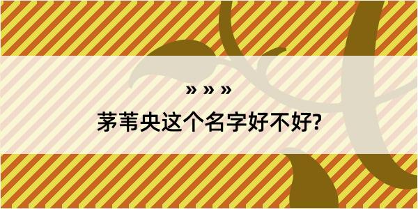 茅苇央这个名字好不好?