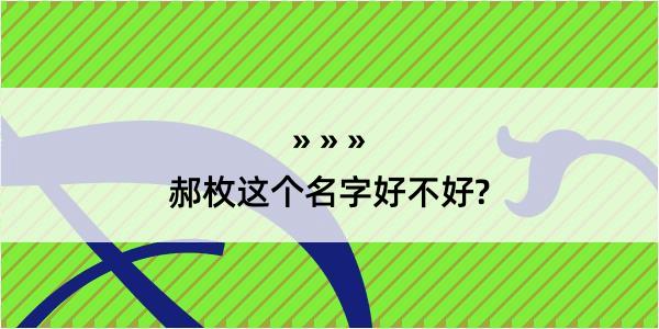 郝枚这个名字好不好?