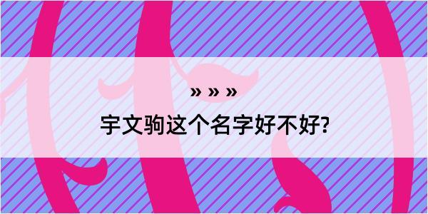 宇文驹这个名字好不好?