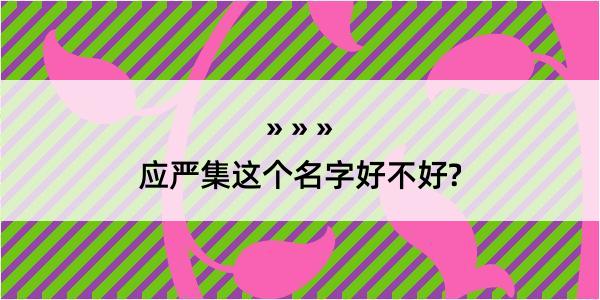 应严集这个名字好不好?