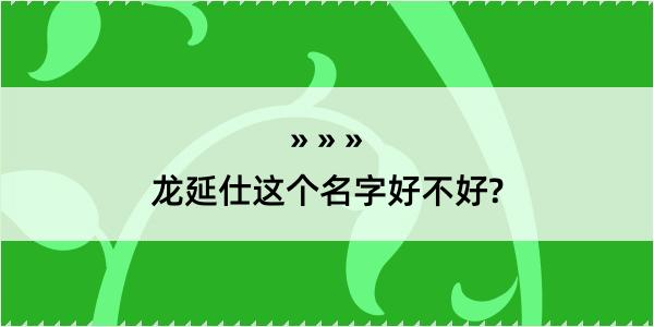 龙延仕这个名字好不好?