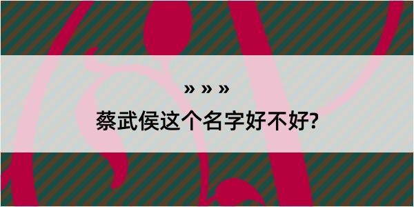 蔡武侯这个名字好不好?