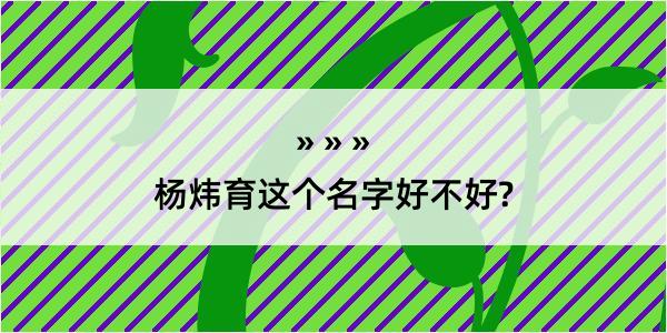 杨炜育这个名字好不好?