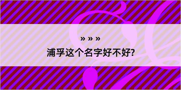 浦孚这个名字好不好?