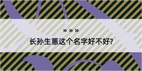 长孙生蕙这个名字好不好?