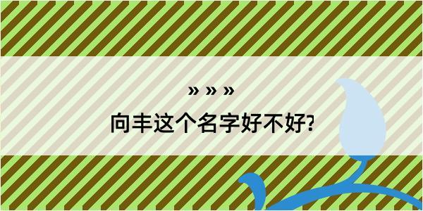 向丰这个名字好不好?