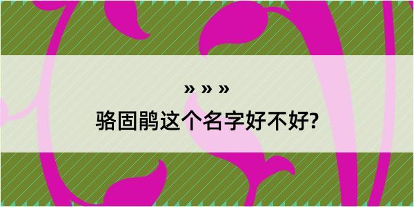 骆固鹃这个名字好不好?