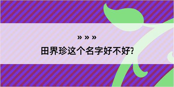 田界珍这个名字好不好?