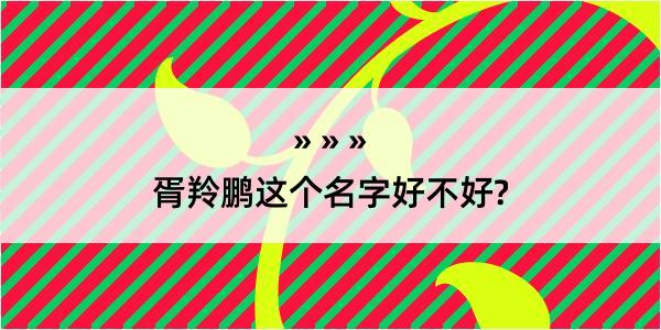 胥羚鹏这个名字好不好?