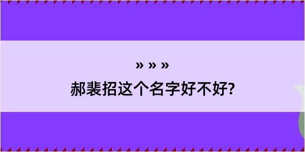 郝裴招这个名字好不好?