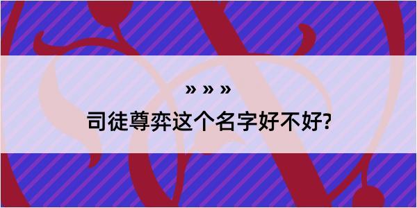 司徒尊弈这个名字好不好?