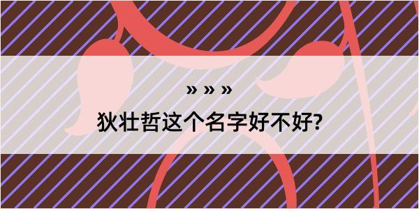 狄壮哲这个名字好不好?