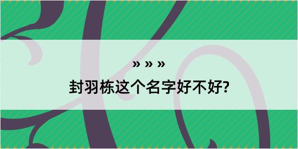 封羽栋这个名字好不好?