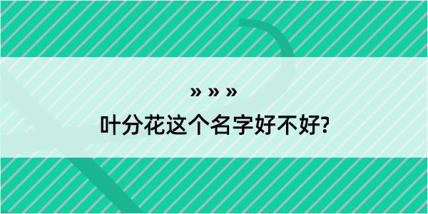 叶分花这个名字好不好?