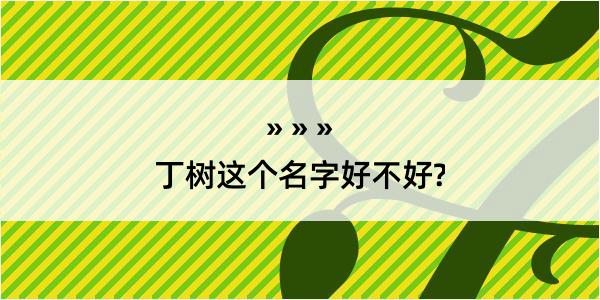 丁树这个名字好不好?