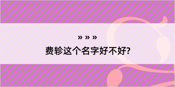 费轸这个名字好不好?