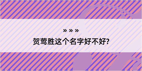 贺莺胜这个名字好不好?