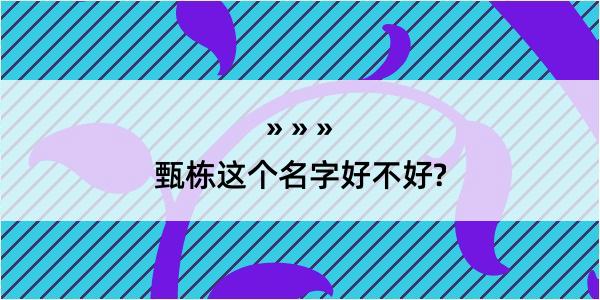 甄栋这个名字好不好?