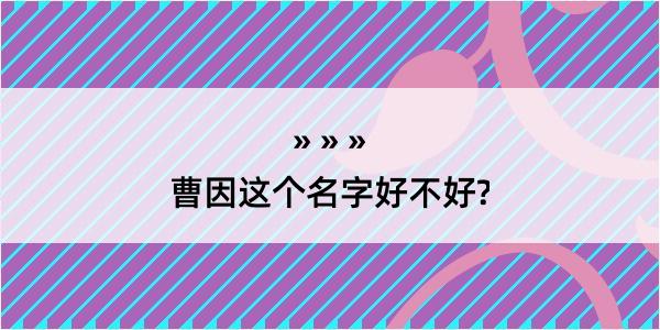 曹因这个名字好不好?