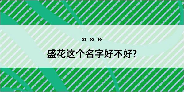 盛花这个名字好不好?