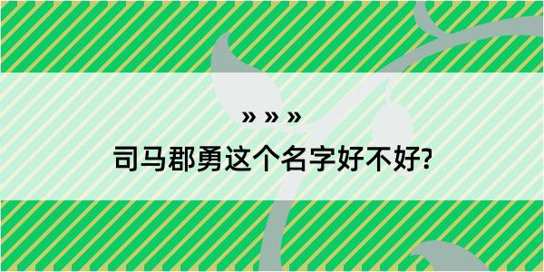 司马郡勇这个名字好不好?