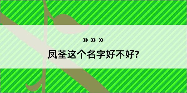 凤荃这个名字好不好?