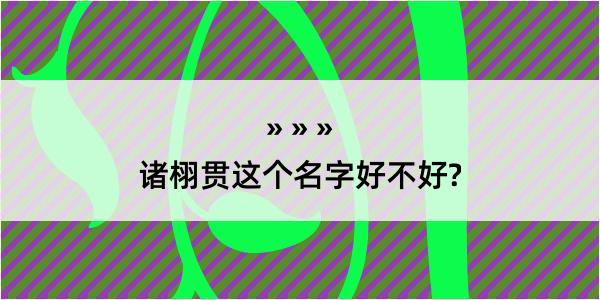 诸栩贯这个名字好不好?