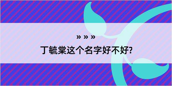 丁毓棠这个名字好不好?