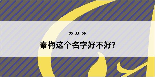 秦梅这个名字好不好?