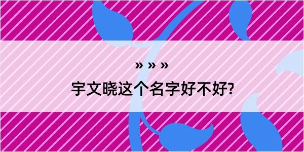 宇文晓这个名字好不好?