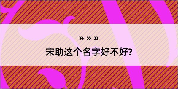 宋助这个名字好不好?