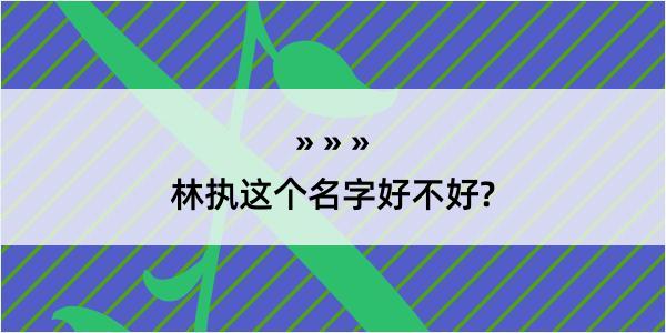 林执这个名字好不好?