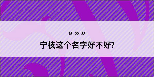 宁枝这个名字好不好?